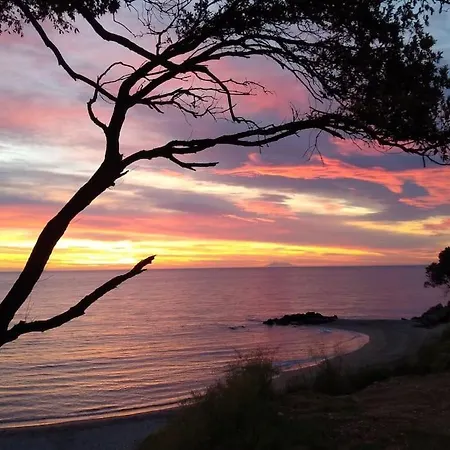 Lägenhet Front De + Piscine *